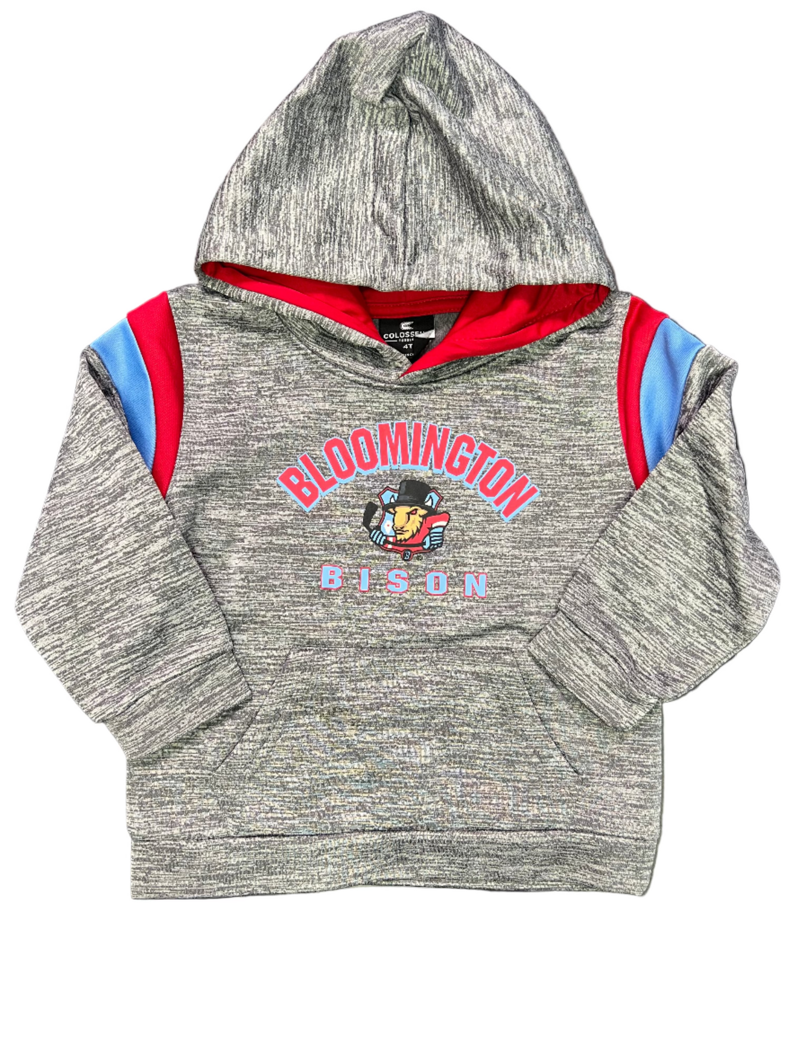 Bison Toddler Wizard City Hoodie