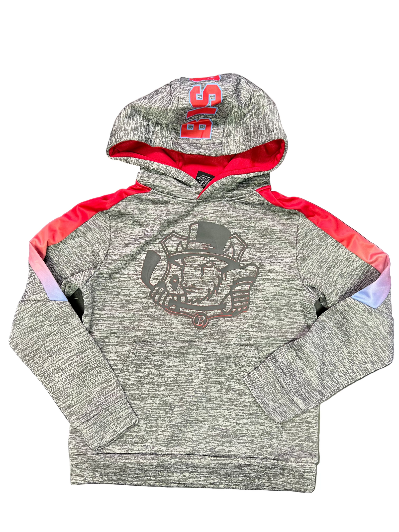 Bison Youth The Gang Hoodie