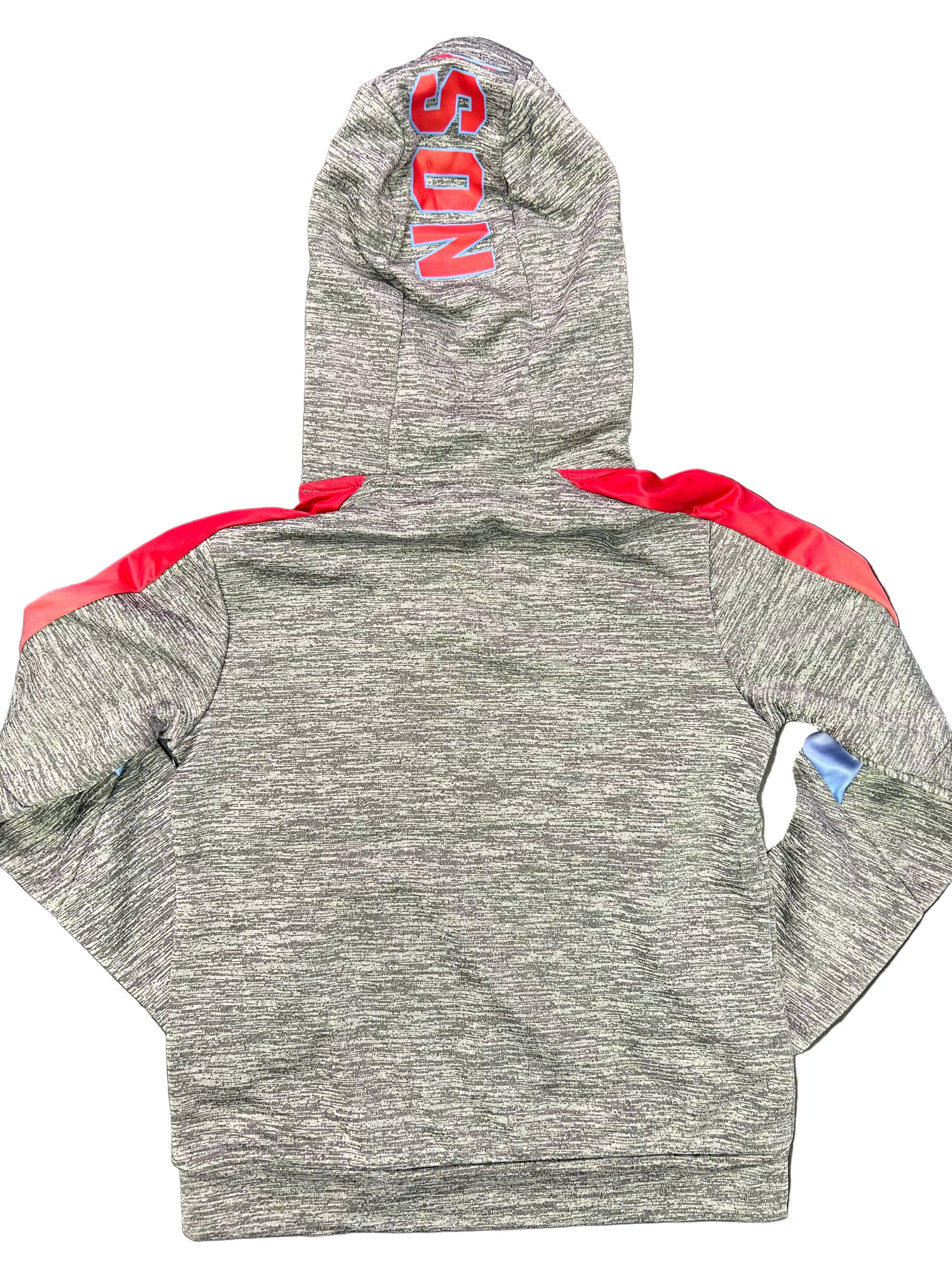 Bison Youth The Gang Hoodie