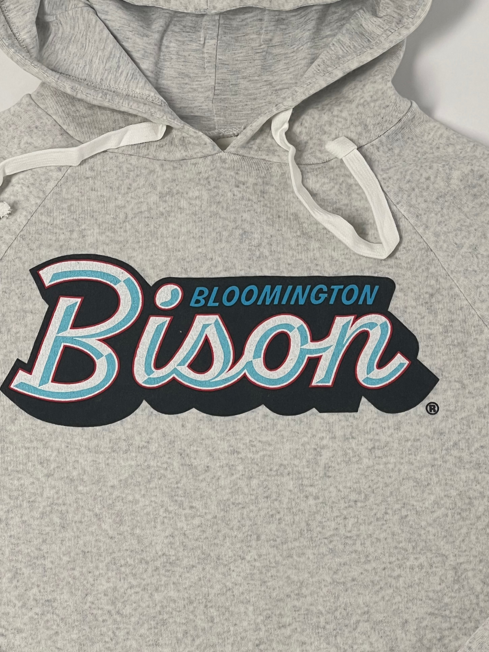 Bison Senior Wordmark Hoodie