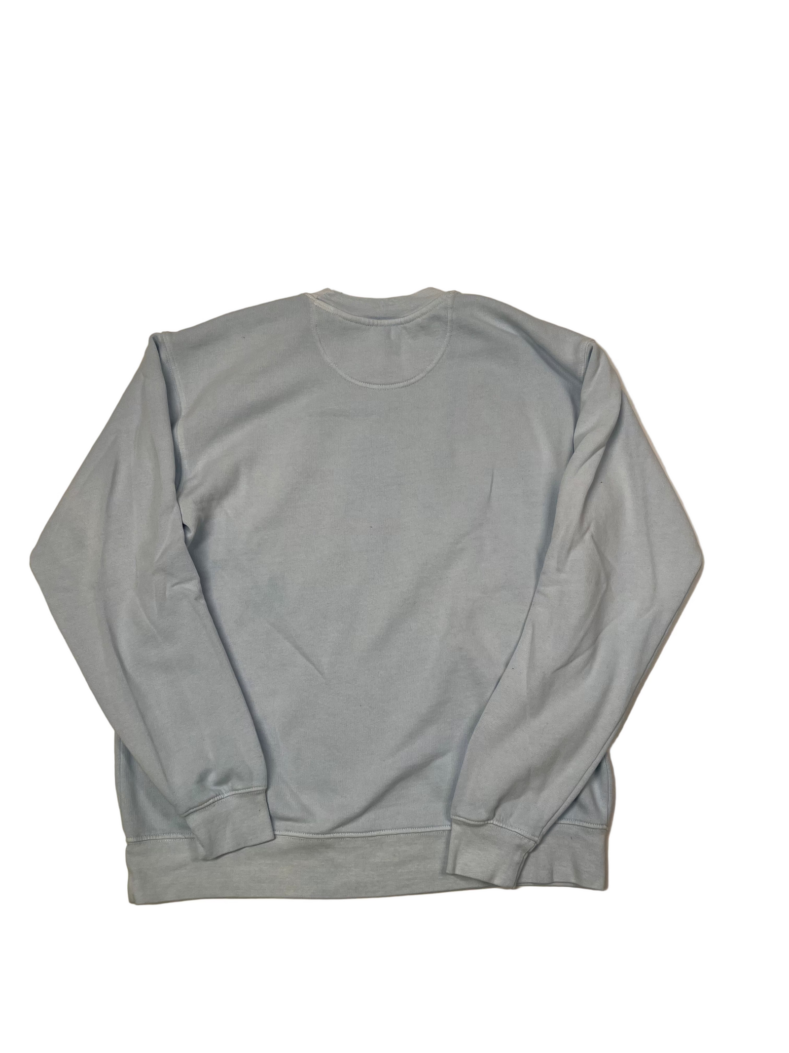 Bison Powder Blue Blockbusted dyed ringspun crew