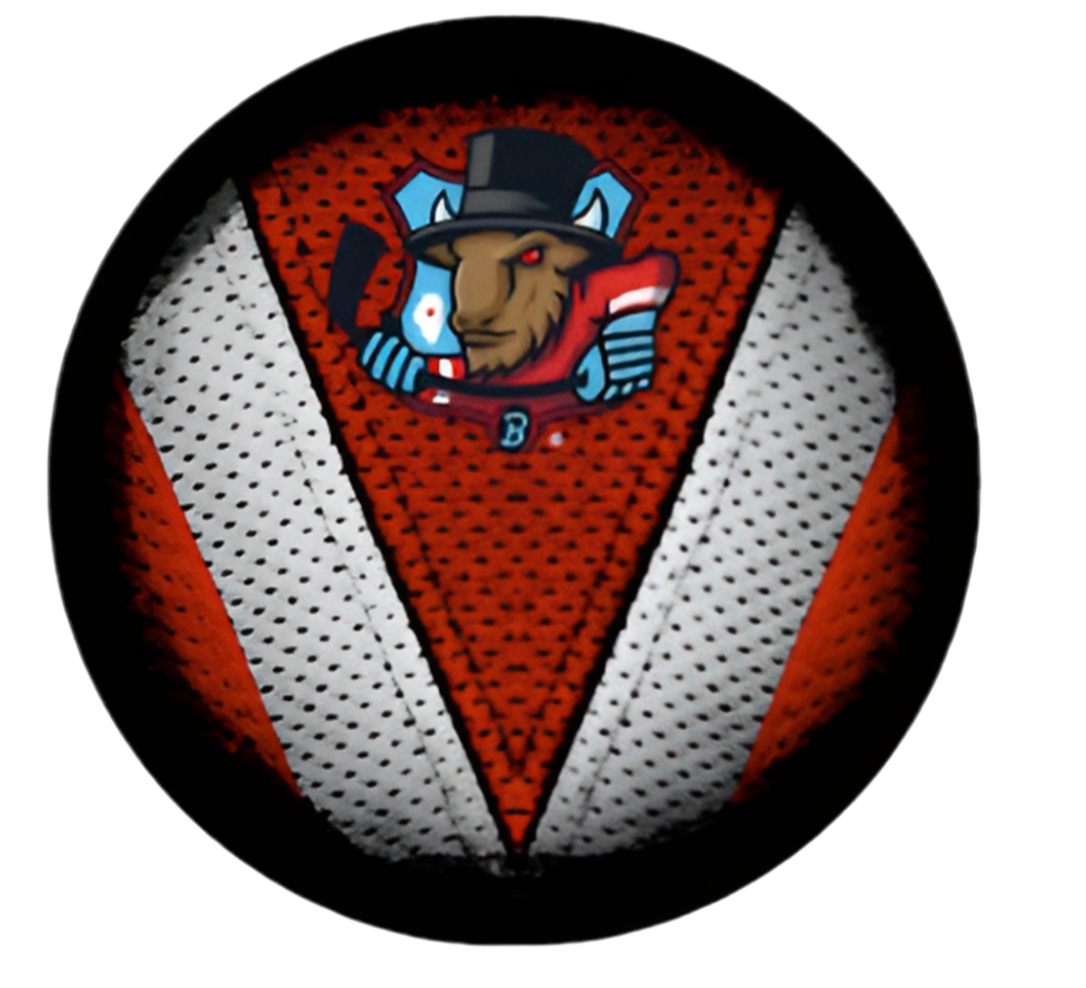 Bison Stitch Puck