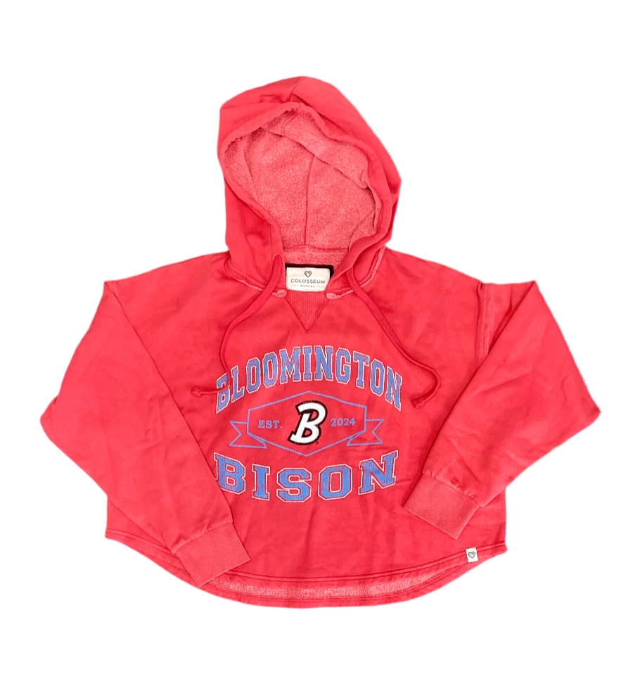 Bison Women's For Serious Hoodie