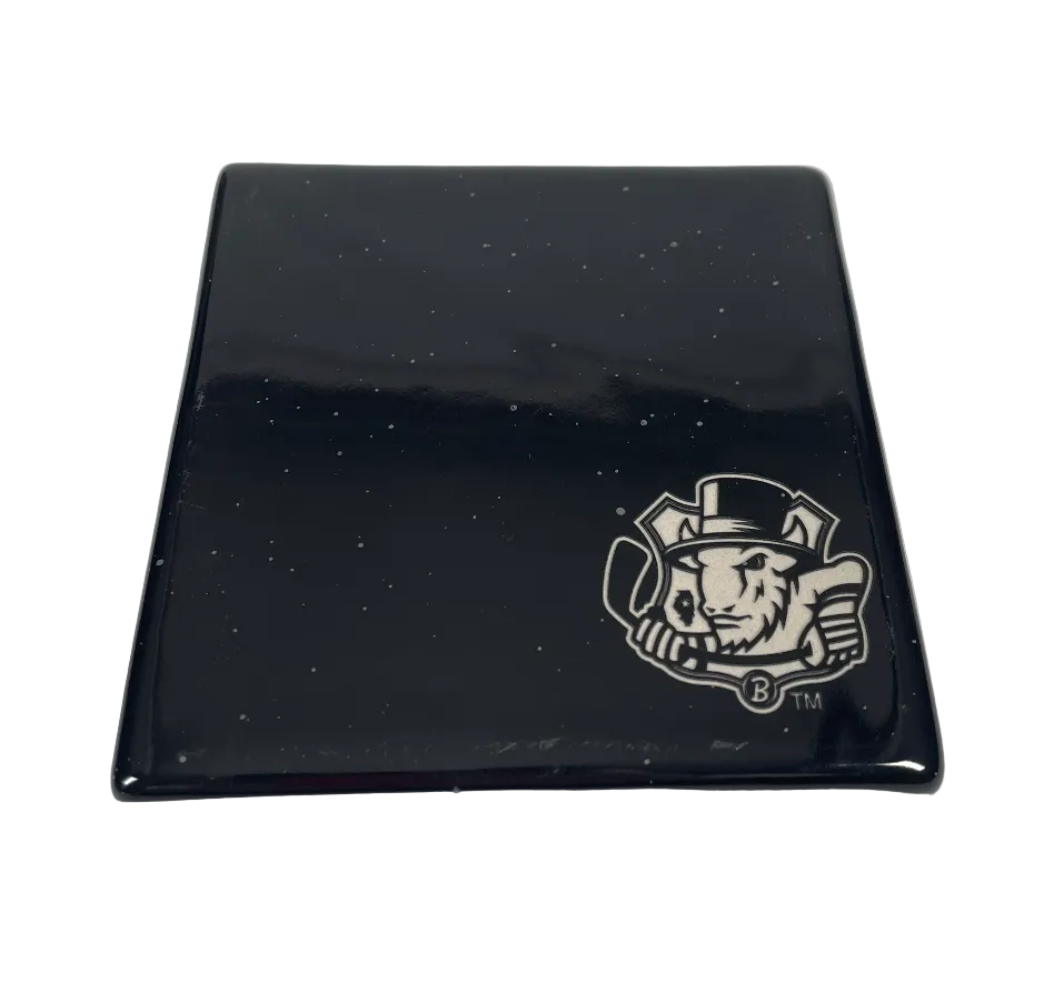 Bison Black Ceramic Coaster