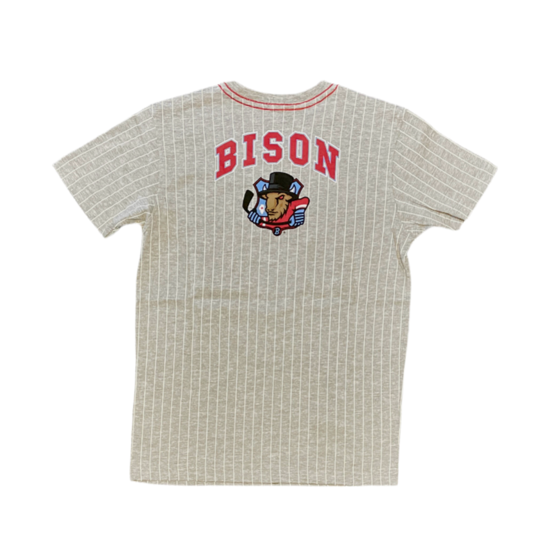 Bison Youth Airball Baseball Tee