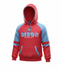Bison Toddler Todd Hoodie