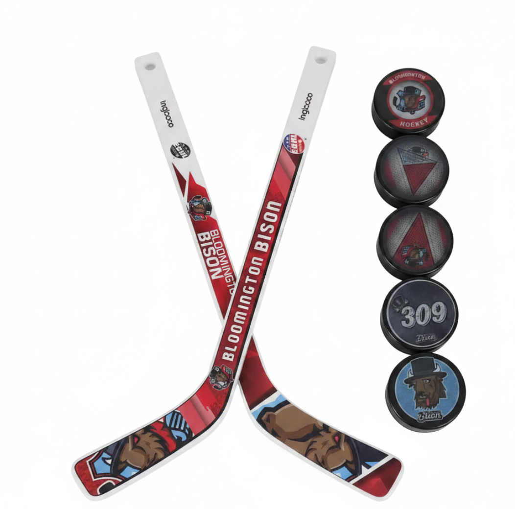 Bison 6 Puck & Stick Set