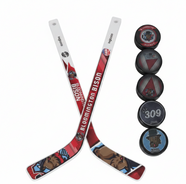 Bison 6 Puck & Stick Set