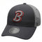 Bison Gray University Hat